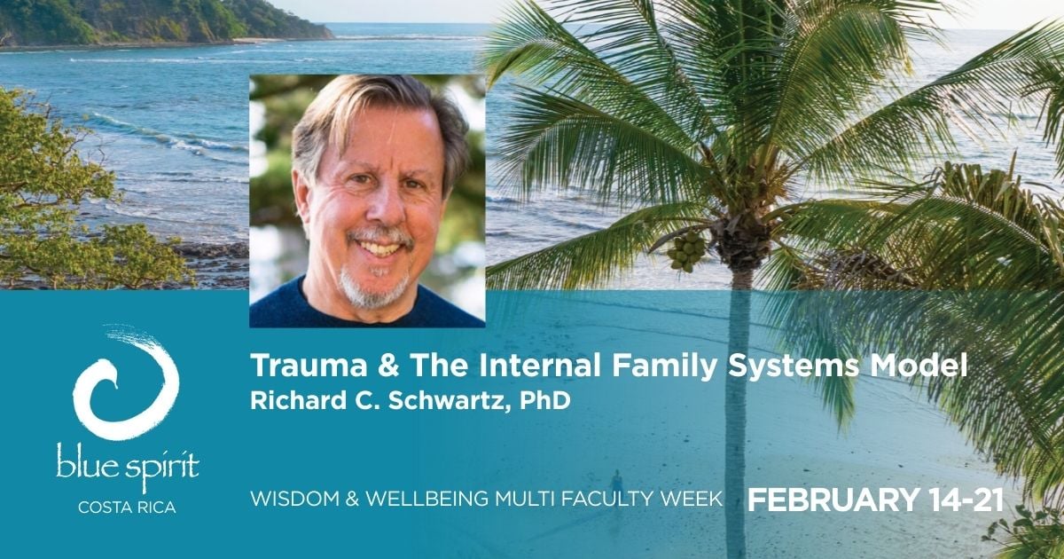 Promotional banner featuring a tropical ocean and palm trees, a portrait of Richard C. Schwartz, PhD, and text reading “Trauma & the Internal Family Systems Model,” Blue Spirit Costa Rica, February 14–21.