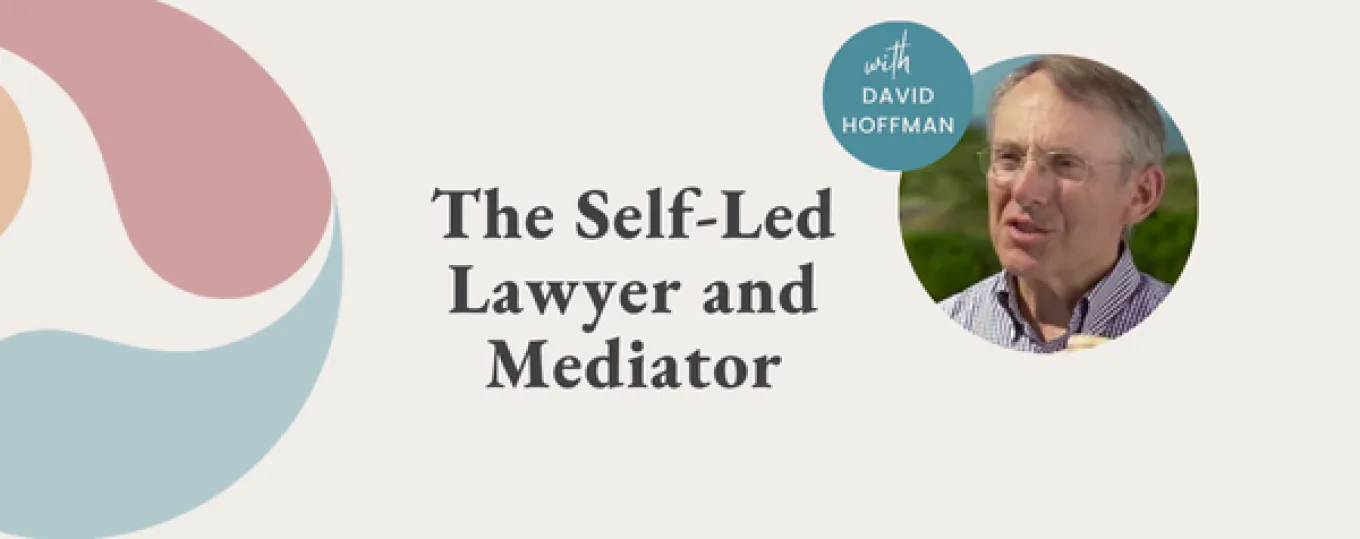 Graphic of The Self Led Mediator and Lawyer