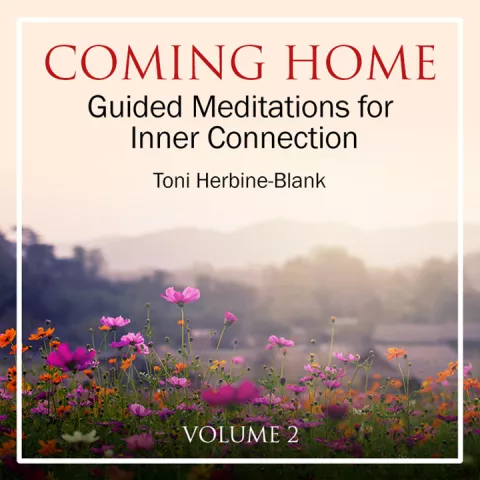 Coming Home: Guided Meditations for Inner Connection, Vol. 2